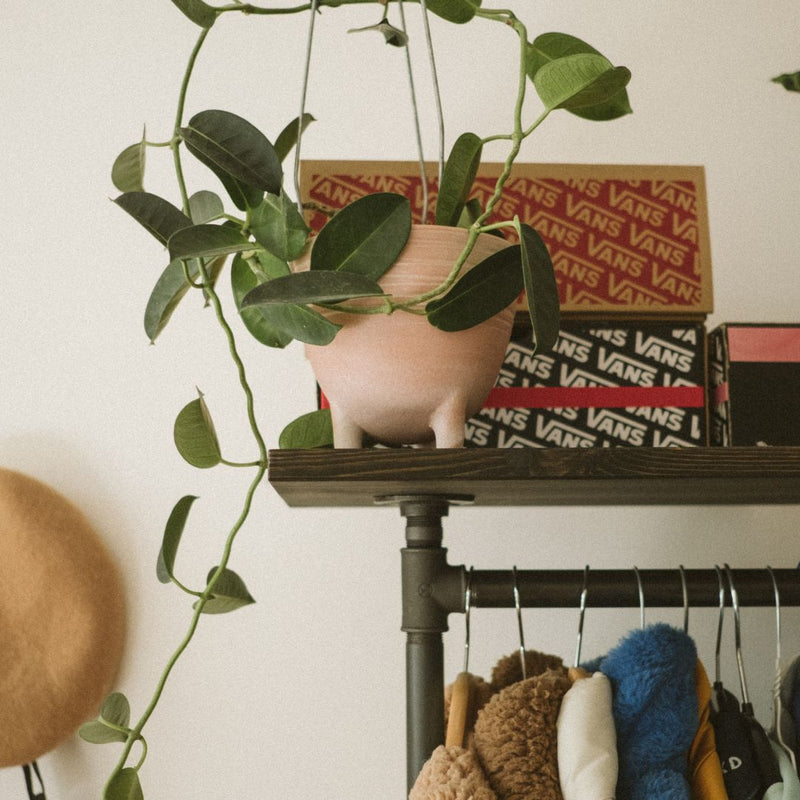 Clothes rail with shelf mounted on top made from wood for decoration practical double solution